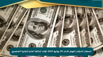 أسعار الدولار اليوم الأحد 20 يوليو 2025 تؤكد ثباتها أمام الجنيه المصري
